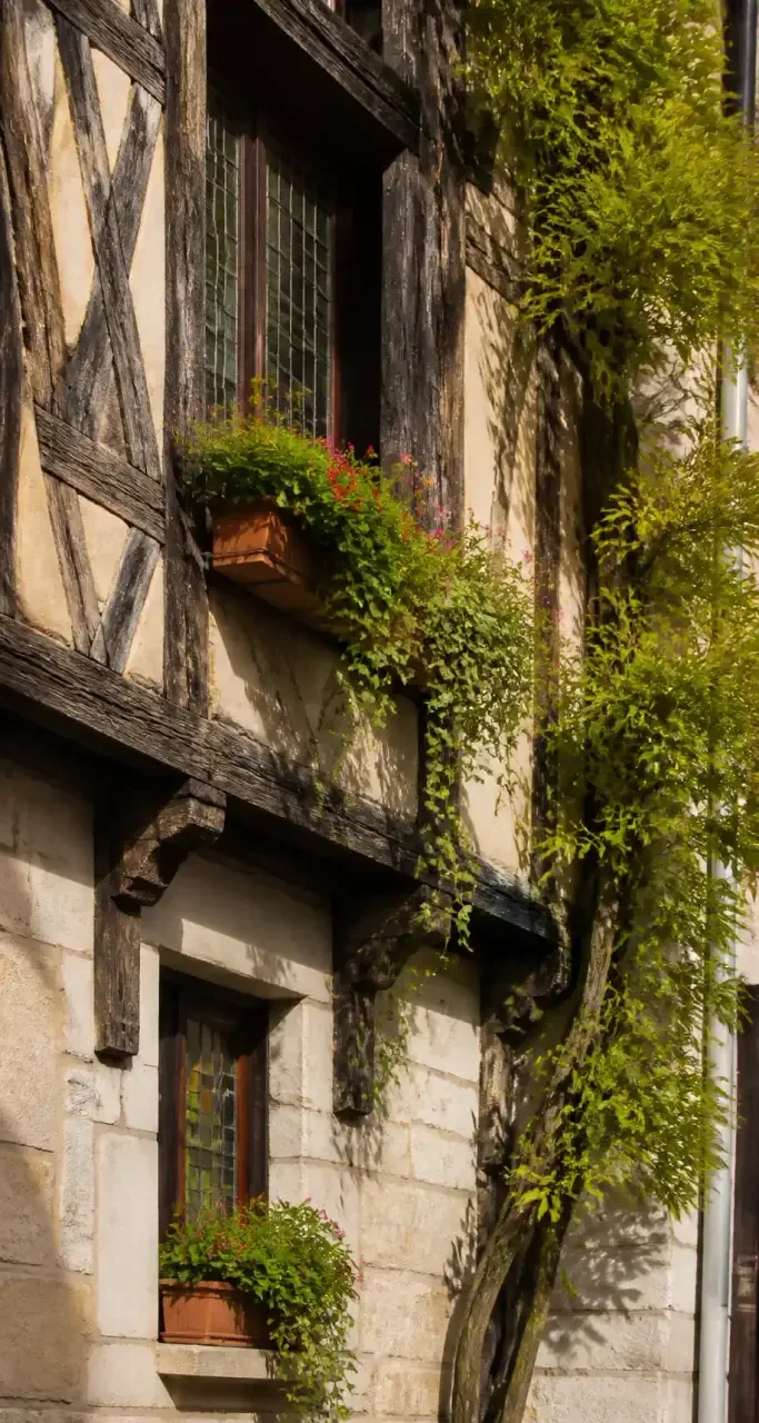 Maisons a colombages et facades en tuffeau dans le vieux Angers