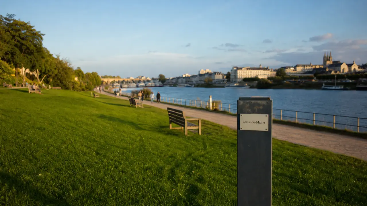 Esplanade coeur-de-maine à Angers, verdure et vue sur la Maine