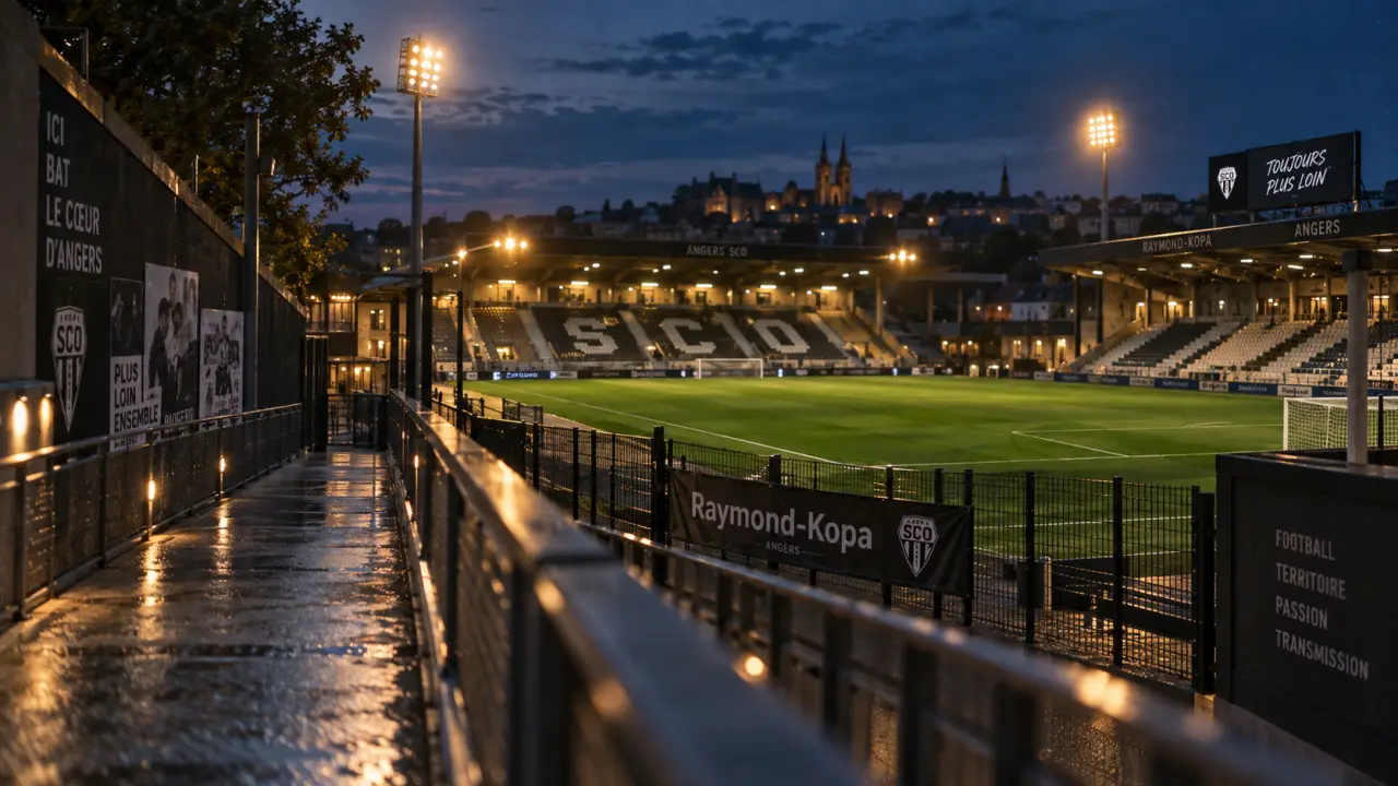 Angers stade Jean Bouin Raymond-Kopa : vues tribunes et pelouse du complexe sportif