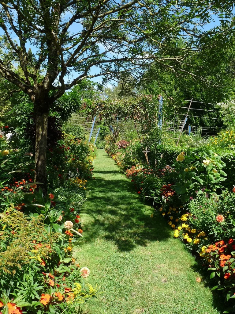 L’arboretum Gaston-Allard à Angers : photo de contexte du secteur, sans vue de la boutique.