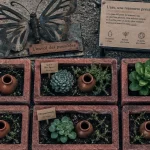 À la Roseraie, le square des Jonchères mise sur des plantes sobres en eau